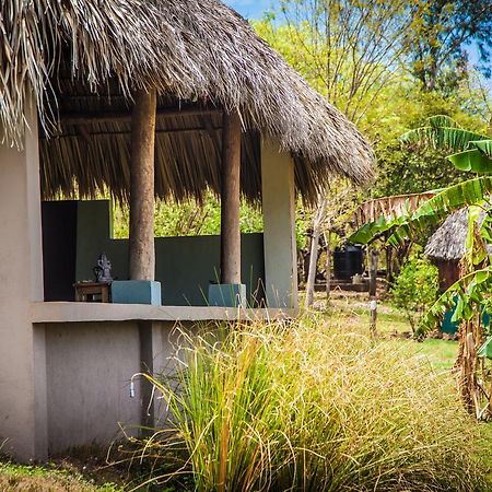 Coco Loco Eco-Resort Gemastepe Bagian luar foto